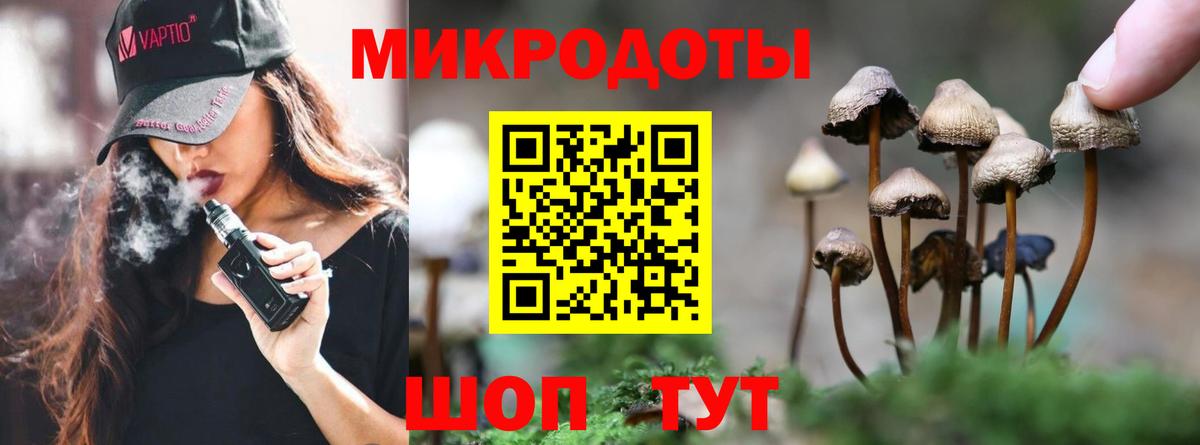 Выборг  Галлюциногенные грибы Psilocybine cubensis  Псилоцибиновые грибы прущие грибы  Вход с VPN 